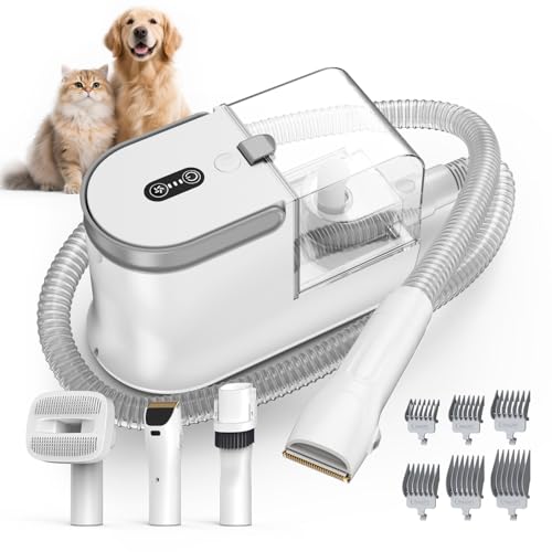 Aspirateur de toilettage pour chiens pour garder un salon propre après les balades en forêt