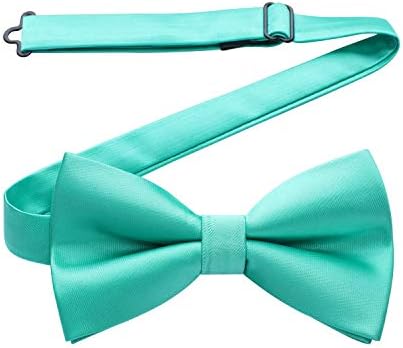 HISDERN Mens Paisley Pre-Tied Bow Set Adjustable Formal Neck Bowtie for Wedding Party