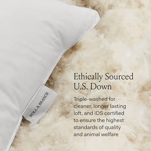 Boll & Branch Down Chamber Pillow thumbnail 3