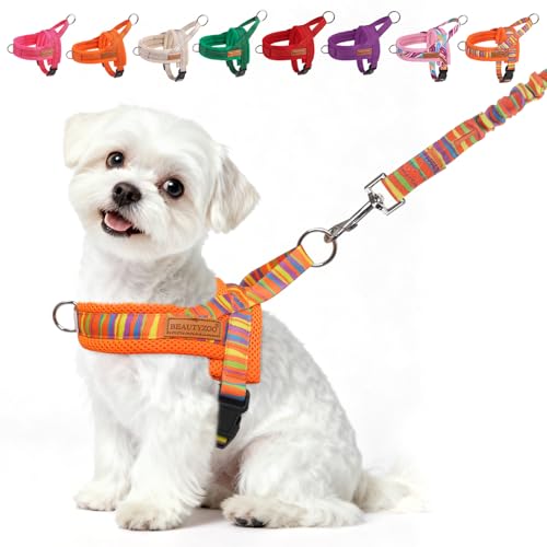 BEAUTYZOO Small Dog Harness and Leash Set, No Pull Step in Puppy Vest