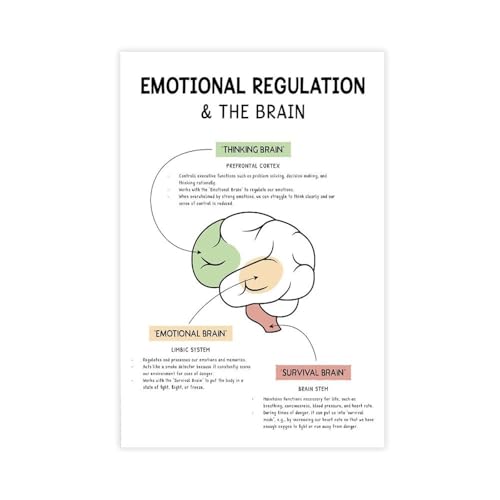 BMtyDG Emotional Regulation in The Brain, Fight Or Flight Freeze