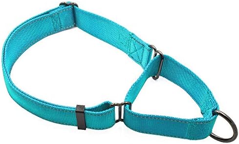 Max and Neo Nylon Extra Large Dog Martingale Collar - We Donate a Collar to a Dog Rescue for Every Collar Sold (Teal)