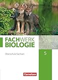 Fachwerk Biologie - Sachsen - 5. Schuljahr - neuer Lehrplan: Schulbuch - Neubearbeitung