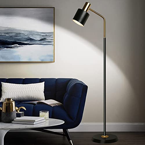 Lámpara de pie LED de hierro negro ajustable para decoración 6