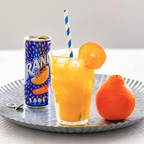 Rani Float Fruit Juice, Orange, Imported From Dubai, Made With Real Fruit Pieces, Low Sugar 8 Oz, Pack Of 24 #TOP4