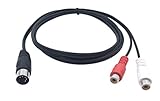 LEMENG Din 5 Pin Male to 2 RCA Female Professional Grade Audio Cable for Bang & Olufsen, Naim, Quad.Stereo Systems (1.5m)