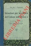 Firenze, 1911