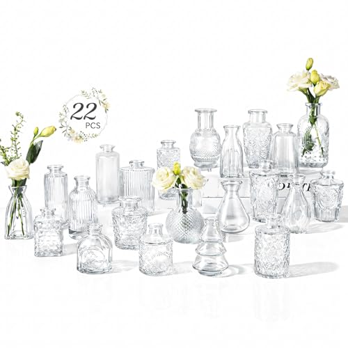 RUCKAE Glass Bud Vases Mini Flower Vase Small Vintage Vases for Centerpiece Table Wedding Decorations Home Decor Party(Transparent 22 Pack)