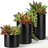 Fake Succulents Plants Artificial in Premium Ceramic Pots (3 Pack Assorted) Realistic Faux Succulents for Bathroom, Home & Office Décor