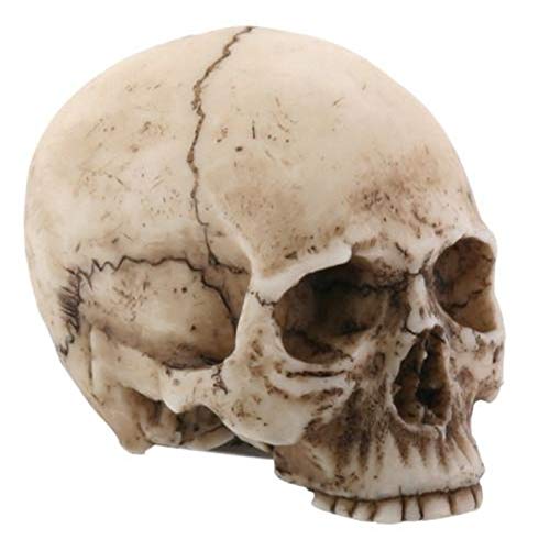 Small Human Skull Halloween Miniature Figurine 1.75 in
