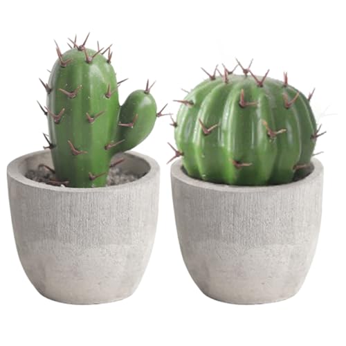Beaupretty 2 Piezas de Cactus Artificiales en Maceta Miniatura, Decoración para Oficina y Hogar, Plantas Falsas Realistas de Bonsái, Adorno Compacto para Escritorio, Sala y Tienda