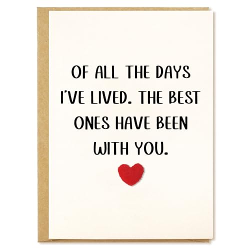 Happy Anniversary Card for Husband, Wife, Fiancé, Partner, Couple with 3D Plush Heart - Wedding Anniversary & Valentine’s Day Card Gift for Boyfriend, Girlfriend, Spouse, Him, Her, Women, Men - All the Days