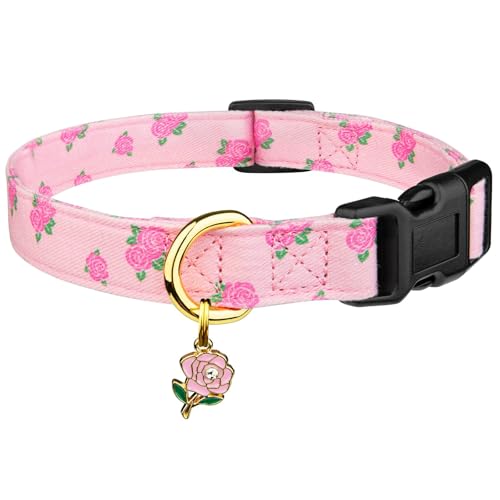 personalized dog collars