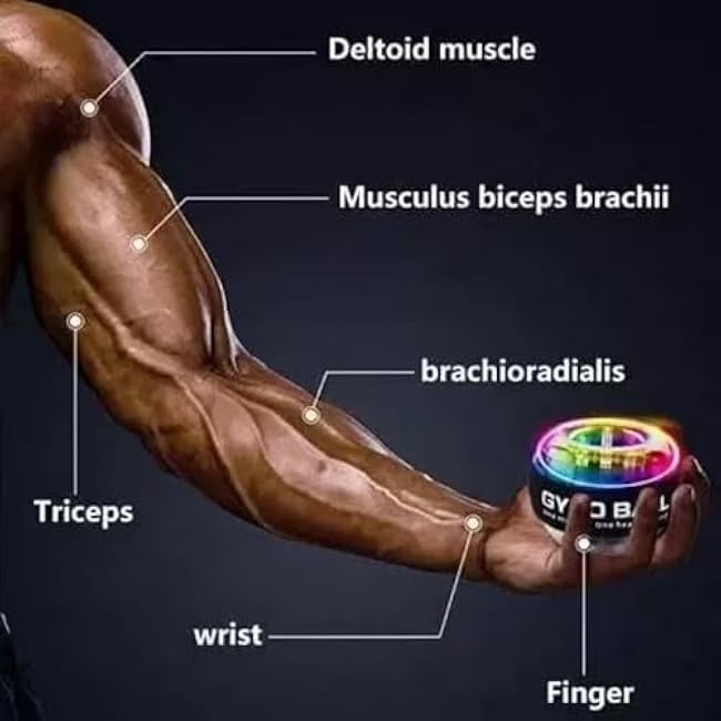 Curaball Gyro Ball Hand Exerciser with RPM Counter ¨C Wrist & Forearm Strengthener for Men & Women ¨C Adjustable Resistance Torqueball for Grip Training, Rehab & Stress Relief ¨C Portable Glitz Grip Design