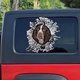 Photo Gallery madcolitote adesivo 3d per auto, motivo: springer spaniel, decalcomania in vinile fustellato, divertente adesivo per computer portatile, regalo per animali domestici, 45,7 cm Photo Gallery madcolitote adesivo 3d per auto, motivo: springer spaniel, decalcomania in vinile fustellato, divertente adesivo per computer portatile, regalo per animali domestici, 45,7 cm