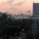 toshiba disk drive mq01abd050 adapter  disk:Drive