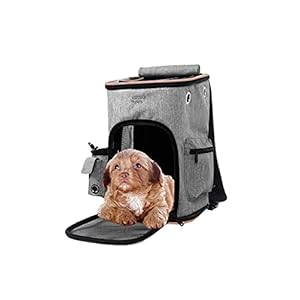 ABISTAB Pets robuster Faltbarer Rucksack Haustier Transportbox Hunde und Katze Tragetasche bis 5kg, Atmungsaktive Netz mit Komfort und Sicherheit (Grau-Rot)