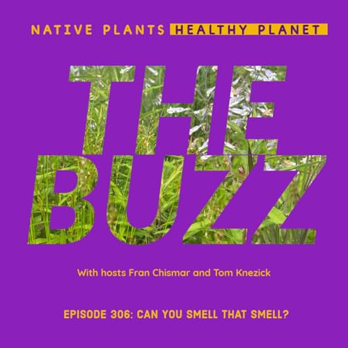 The Buzz - Can You Smell That Smell?