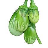 Generic Non-GMO Organic Asian Eggplant Seeds, Fresh Seeds for Planting, Heirloom Variety, 50+ Seeds, Purple