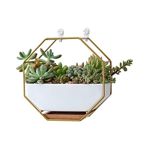 VanEnjoy Geometric Wall Planters Cover