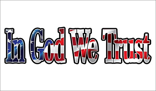 Vinyl Junkie Graphics in God We Trust Sticker/Decal
