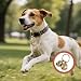 4 Stück Hundeglocke Katzenglocke, Extra Laute Katzen Hundeglocken Messing Haustier Tracker Glocken Halsbandglocke Anti-Verlust-Training Haustier-Anhänger-Zubehör Glocken für kleine Hunde und Katzen