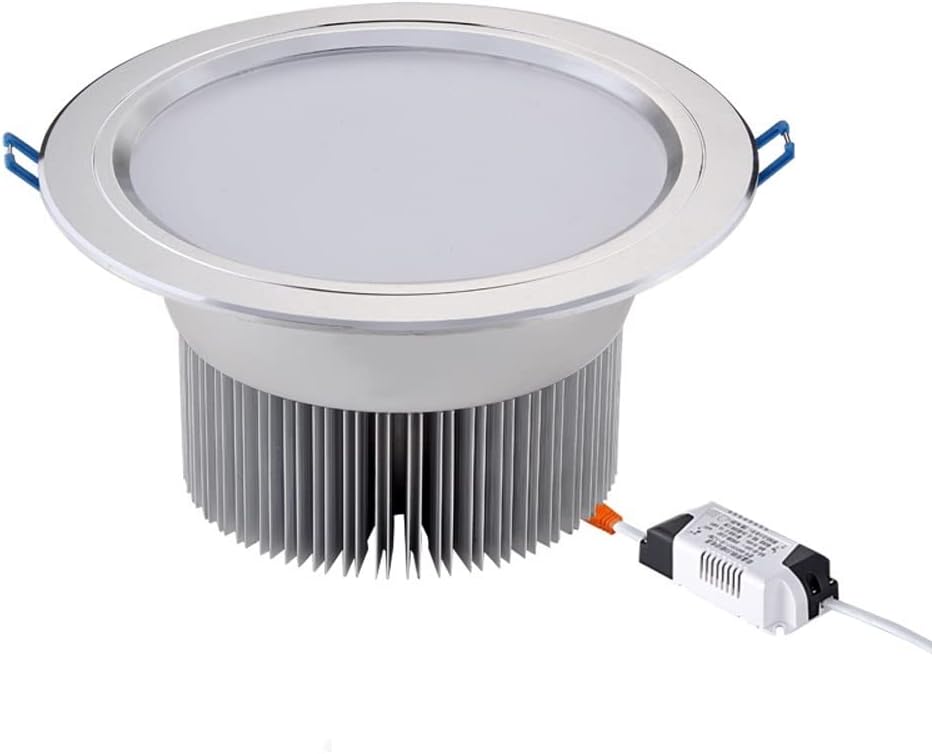 Recessed Downlights Indoor Ceiling Spotlight, Brushed Silver Finish Round Panel Lamp for Bathroom Hallway Stage Office Decoration Lighting Fixture [Energy Class A+]/18W/6000K