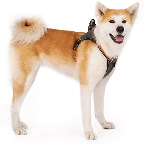 Thinkpet Step In Dog Harness For Large Dogs, Front Clip Dog Vest Harness No Pull Choke Free Escape Proof Dog Halter Harness Padded Breathable Reflective Halter For Large Dogs Training Walking Hiking L #TOP11