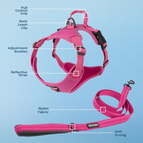 Image of Voyager Dog Harness Dual Leash Attachment No-Pull Control Adjustable Soft but Strong Pet Harness for Medium and Large Dogs with 3M Reflective Technology, Leash Set Fuchsia Nylon, S (Chest: 16-20 inch)