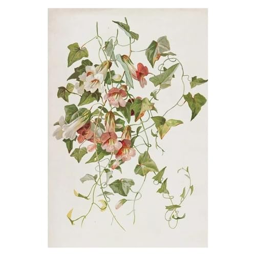 Affiche botanique fleurs sauvages impression sur toile haut de gamme