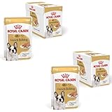ROYAL CANIN Bouledogue Français Adulte Mousse | Double Pack | 2 x 12 x 85 g | Aliment complet pour bouledogues français à partir de 12 mois