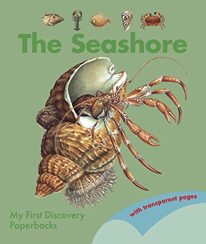 Seashore (My First Discovery Paperbacks)
