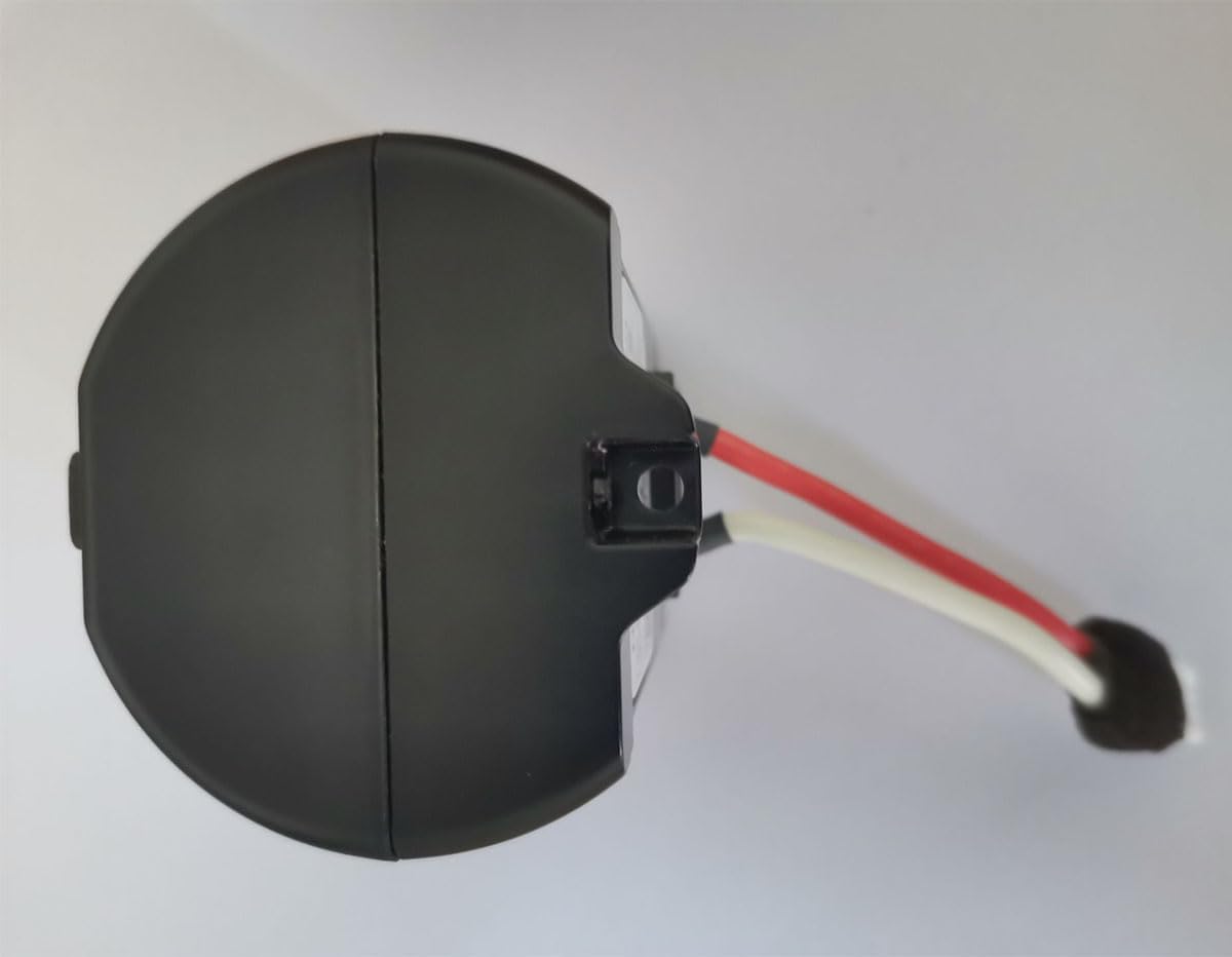 梅の花】 花 古獣 美品 高級印材 篆刻 印石 雲南 天青石 印石 水凍