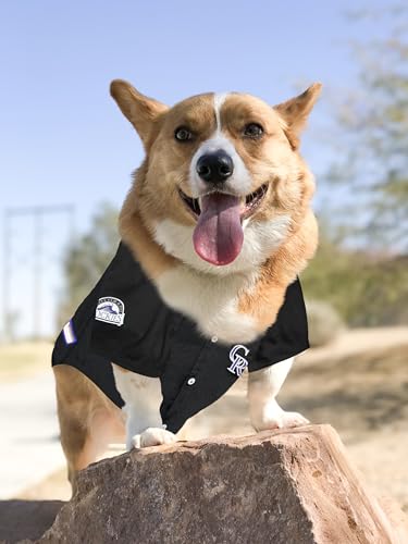 Official MLB Colorado Rockies Pet Jersey for Dogs & Cats, Size Small - Stylish Baseball Jersey for Your Furry Fan- Show Off Team Spirit with The Perfect Fan Apparel Gear for Pet, Dog & Cat - Thumbnail 3