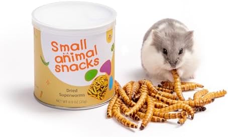 Niteangel Hamster Snack & Treats Toy - Small Animal Natural Treat for Dwarf Syrian Robo Hamsters Gerbils Mice Lemmings Degus or Other Small-Sized Pets (Dried Worms- 0.9oz (25g))