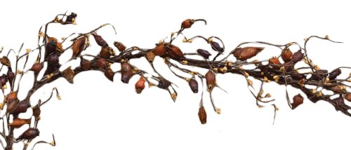 CWI-Dried-Rosehips-Garland-4ft-Artificial-Garland-for-Mantle-Arch-Table-and-Entryway CWI Dried Rosehips Garland 4ft Artificial Garland for Mantle Arch Table and Entryway