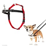 Halti Front Control Harness, Size Small, Bestselling Professional Dog Harness to Stop Pulling on the Lead, Easy to Use, Anti-Pull Training Aid, Front Leading No Pull Harness for Small Dogs