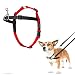 The Company of Animals - HALTI Training Harness - Durable and Adjustable - Comfortable Padded fit - Small - Black & Red