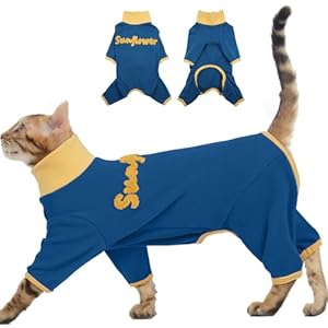 DENTRUN Sphynx Cat Pullover, Breathable Warm Cat Fleece Jumpsuit Onesie, Cats Sweatr Apparel with Embroidery, Travelling (Blue, S)