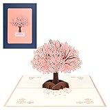 Zeige deine Liebe: 100% handgefertigt, das romantische und einzigartige Pop-Up-Karte ist ein perfektes Geschenk für Ihren Mann, Frau, Freund und Freundin.