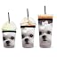 Lovely Maltese Dog