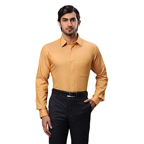 Image of Raymond Men's Solid Slim Fit Shirt