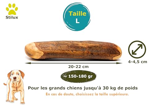Stilux® Bâton à mâcher en Bois d'olivier pour Chiens,Taille L, Jouet d'occupation pour Chien jusqu'à 30Kg, Friandise Os en Bois 100% Naturel et Durable – vue 2