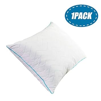 goose down pillow inserts