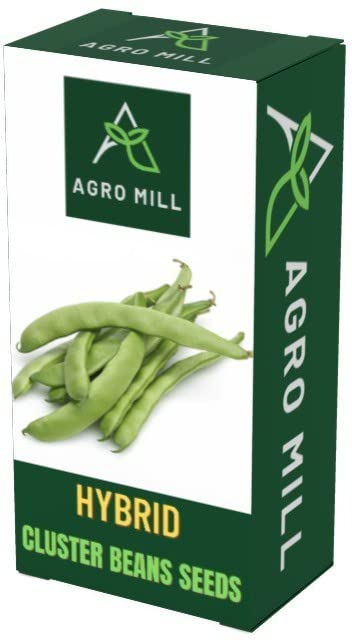 AGRO MILL CLUSTER BEANS/GUAR KI FHALI/GAWAR KI FALI (FOR KITCHEN GARDEN)-3