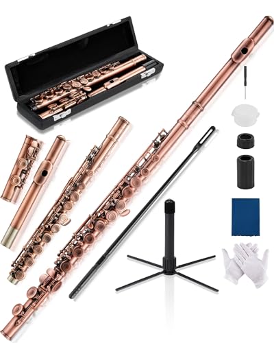 AKLOT Closed-Hole Concert C Flute: Flute Instrument with 16 Keys, Offset G, Smooth Cupronickel Keys, Air-Tight Pads, Include Stylish Leather Hard Case, Cleaning Kit, Stand, Gloves (LUM-CE)
