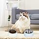 YYTECH 3 Stück Katzennapf Edelstahl, 15° Schräg Futternapf Katze Set, Erhöhter Fressnapf Katze Hundenapf, Fressnapf Für Katze Hunde, Wasser Fütterung Schüssel Abnehmbarer Katzennäpfe für Wasser Snack