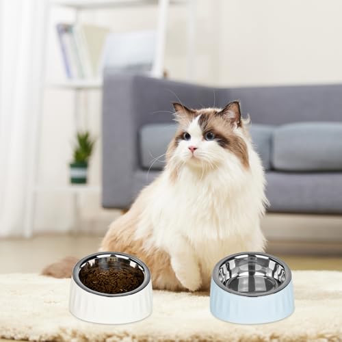 YYTECH 3 Stück Katzennapf Edelstahl, 15° Schräg Futternapf Katze Set, Erhöhter Fressnapf Katze Hundenapf, Fressnapf Für Katze Hunde, Wasser Fütterung Schüssel Abnehmbarer Katzennäpfe für Wasser Snack