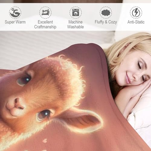 Plaid canapé douillet couverture polaire lit mouton - 4