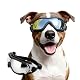 Sonnenbrille für Hunde Namsan – Einstellbare Hundebrille für Augenschutz